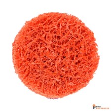 Schnellwechselscheibe_kategorie