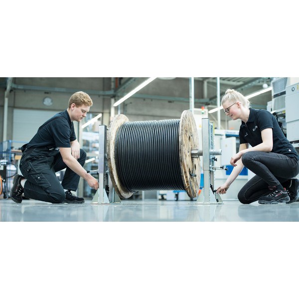 Keine Abbildung zugeordnet 