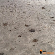 husqvarna/Husqvarna_546329104_5