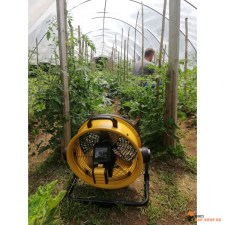 master/4024095-Master-DFB16-USE