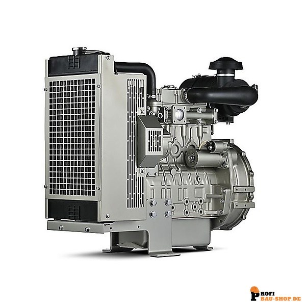 pramac/Pramac_GPW20PBS5_8