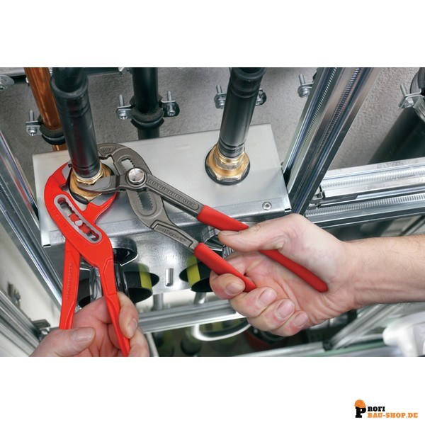 rothenberger/Rothenberger_1000001068_5