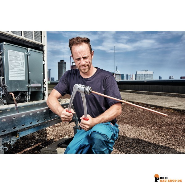 rothenberger/Rothenberger_12536_2