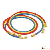 rothenberger/Rothenberger_1500000024