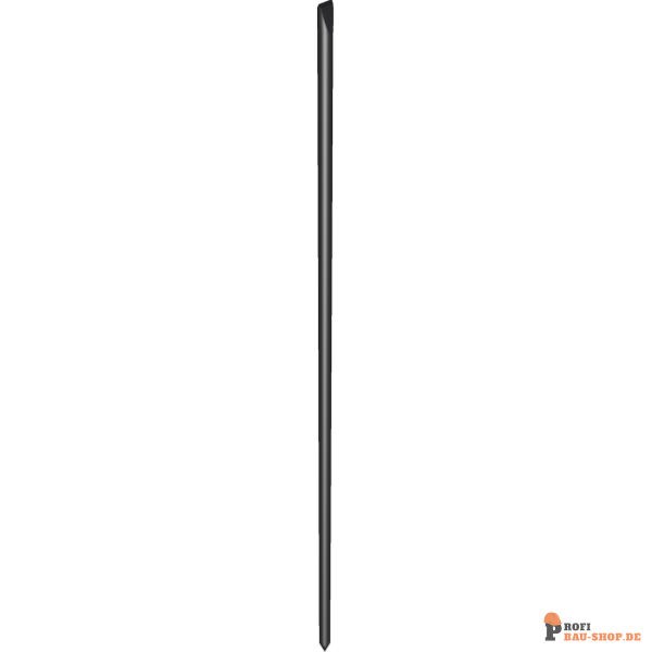 schake/Schake_10197_3D1