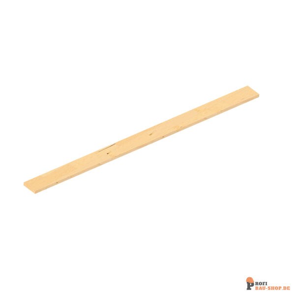 schake/Schake_103125_1