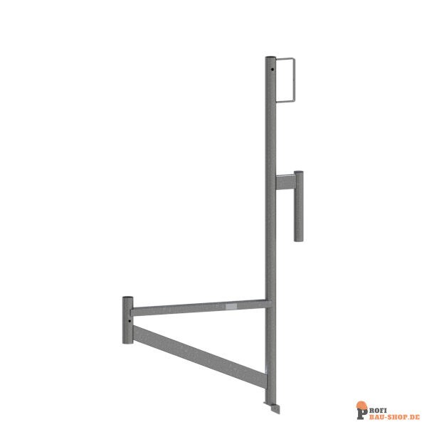 schake/Schake_11295v