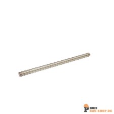 schake/Schake_113110_1