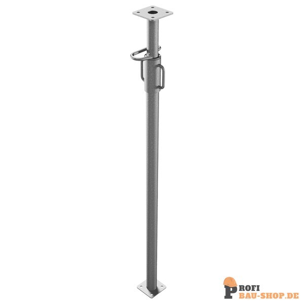 schake/Schake_117291IV_3