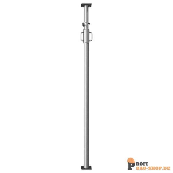 schake/Schake_117301IV_8