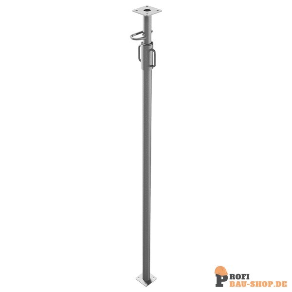 schake/Schake_117311IV_5