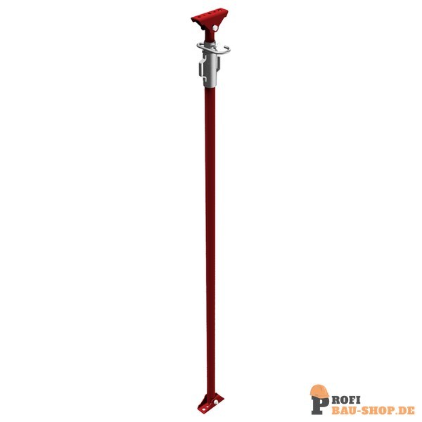 schake/Schake_11793_3