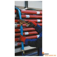 schake/Schake_11832_12