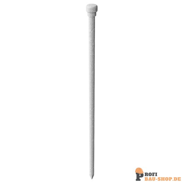 schake/Schake_311606_2