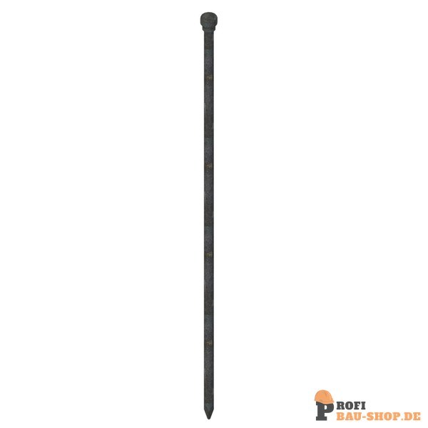 schake/Schake_311608_5