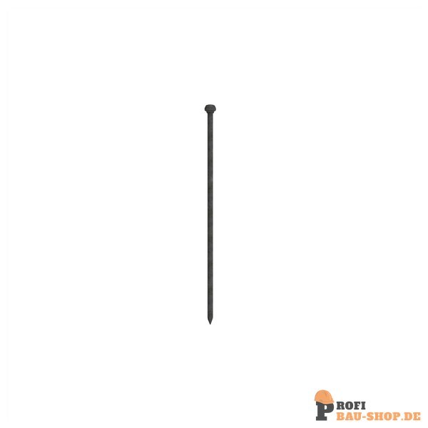 schake/Schake_313015_1