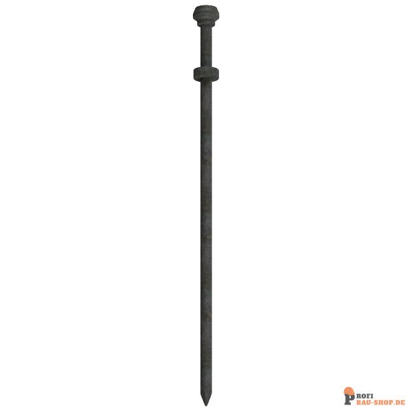 schake/Schake_322509_1