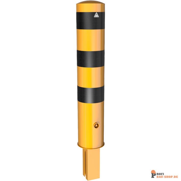 schake/Schake_40191fbg_2