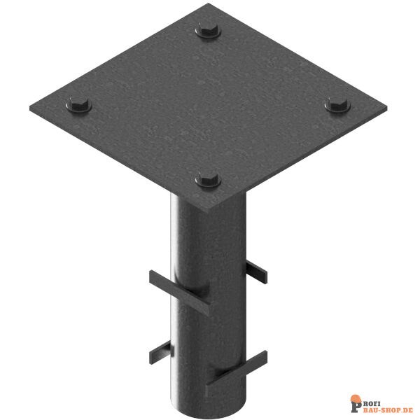 schake/Schake_411_91_3D1