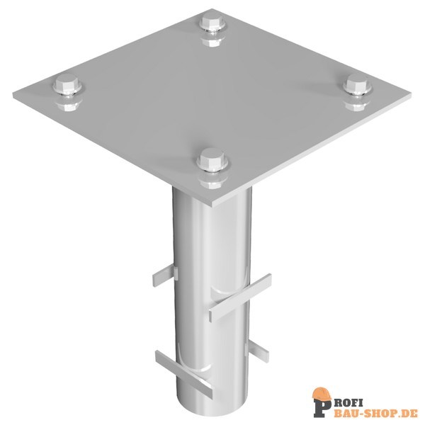 schake/Schake_415_91_1