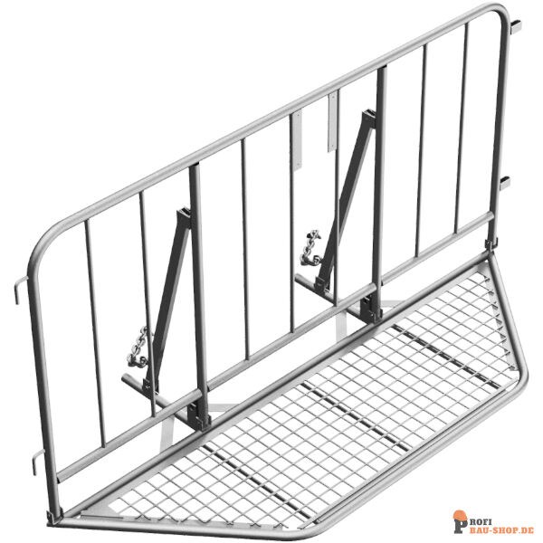 schake/Schake_419_012_3D1