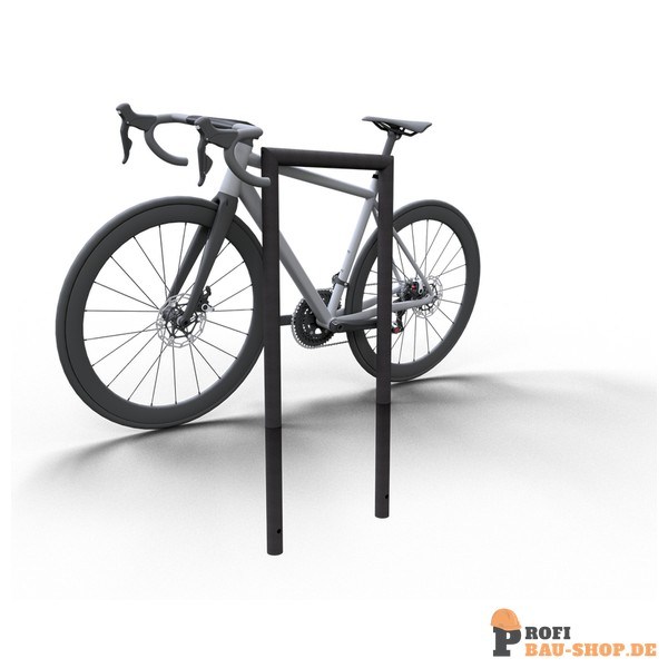 schake/Schake_447_09B_7