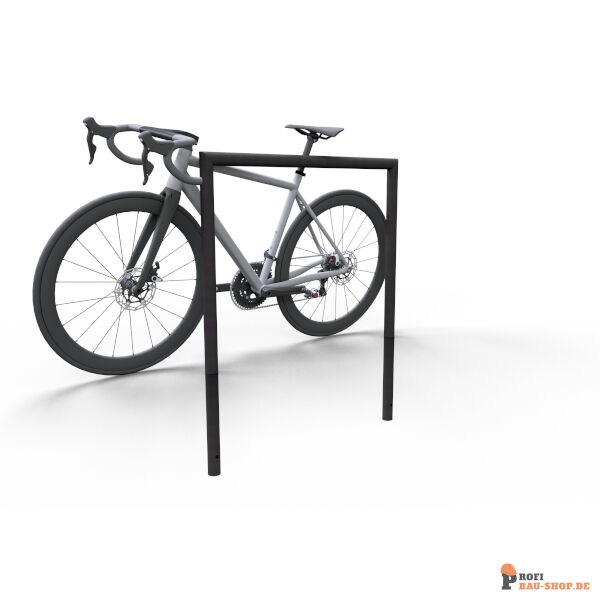 schake/Schake_447_12B_3D2