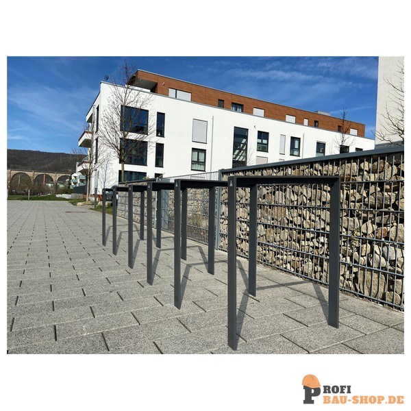 schake/Schake_447_21B_2