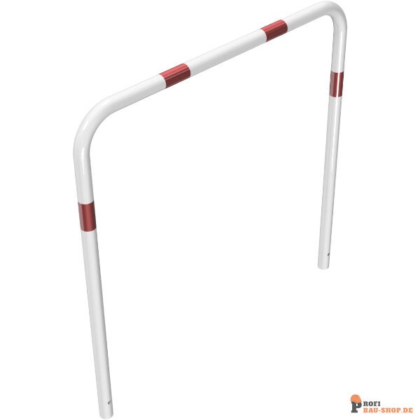 schake/Schake_448_13B_3D1