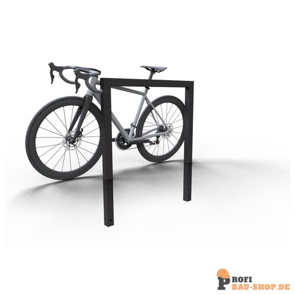 schake/Schake_454_100B_3