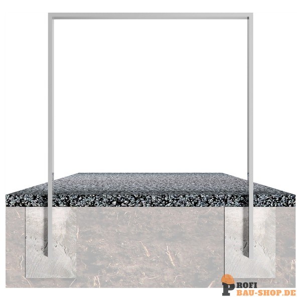 schake/Schake_458_100_3