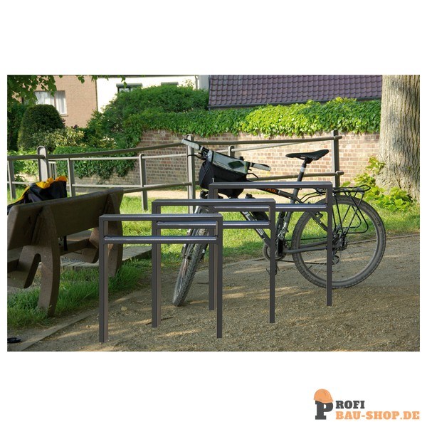 schake/Schake_459_100_2