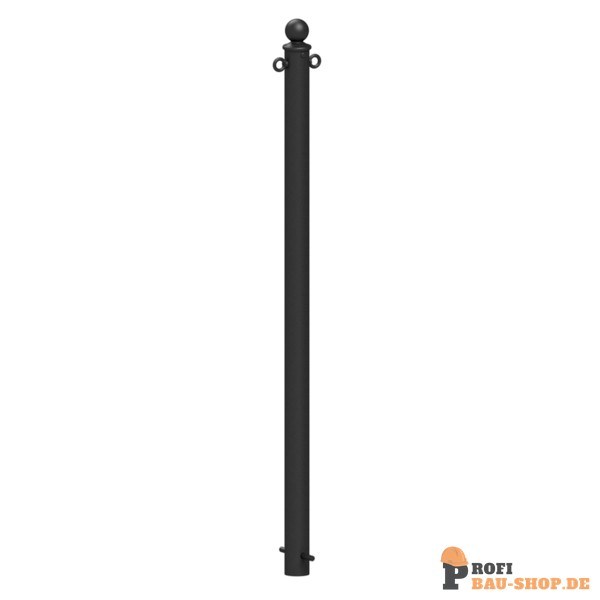 schake/Schake_465B+2_1