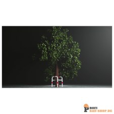 schake/Schake_465_068PB_6