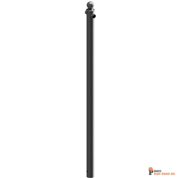 schake/Schake_467_02_3D1