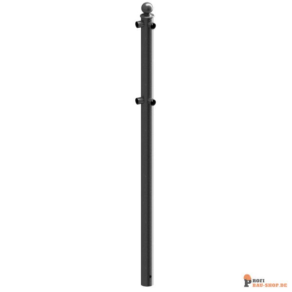 schake/Schake_467_13_3D1