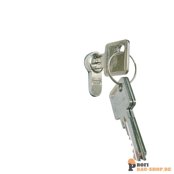 schake/Schake_470_55_1