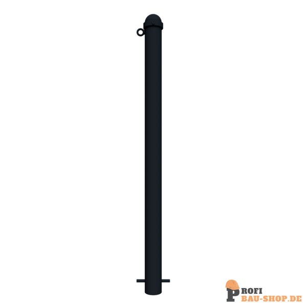 schake/Schake_477B+1_2