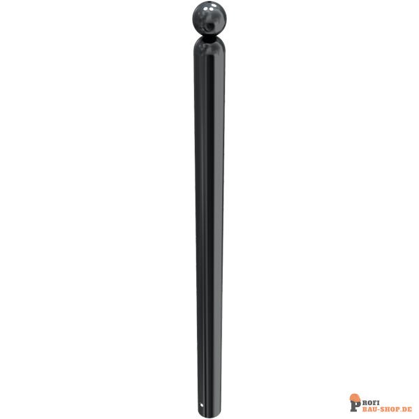 schake/Schake_478B_3D1