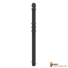 schake/Schake_479B_3