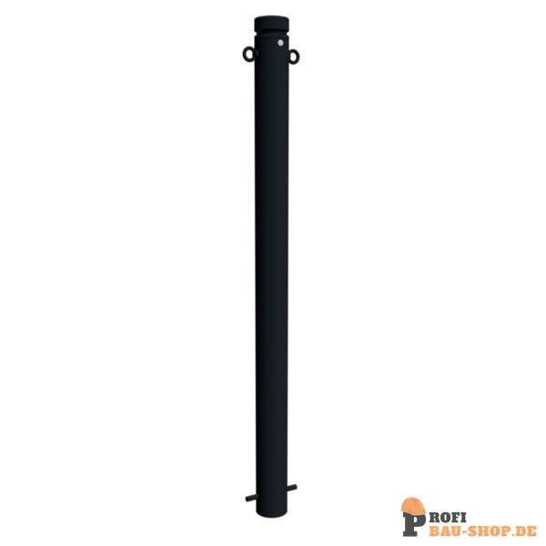 schake/Schake_482B+2_1