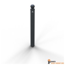 schake/Schake_484B_1