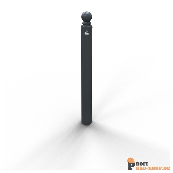 schake/Schake_485B_1