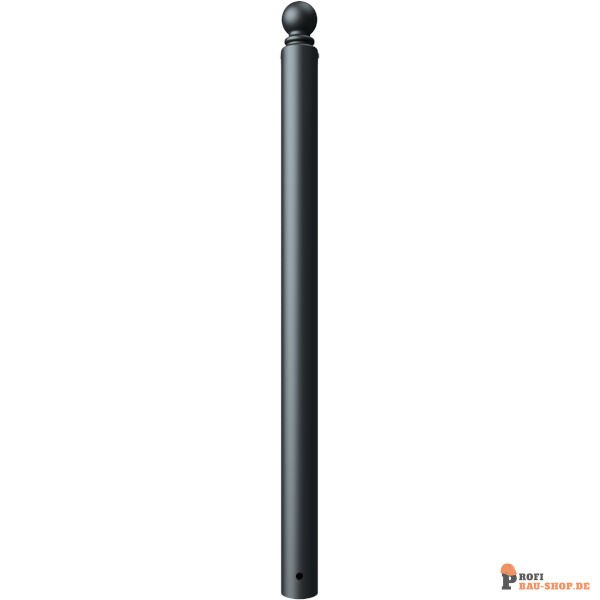 schake/Schake_485B_3D2