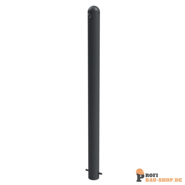 schake/Schake_487B+1_1