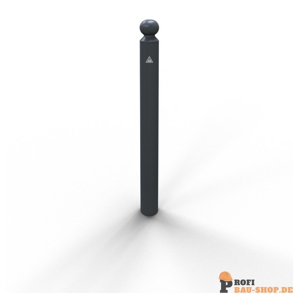 schake/Schake_488B_1