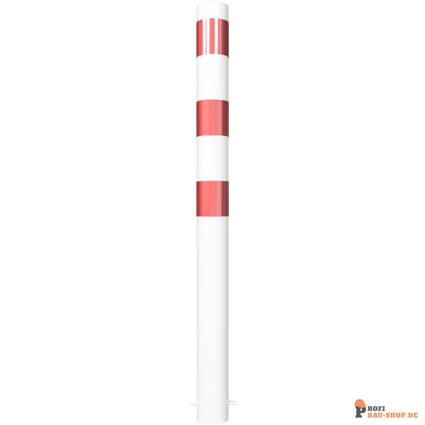 schake/Schake_491B_3D2