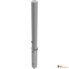 schake/Schake_491F_3D3