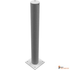 schake/Schake_491P_3D1