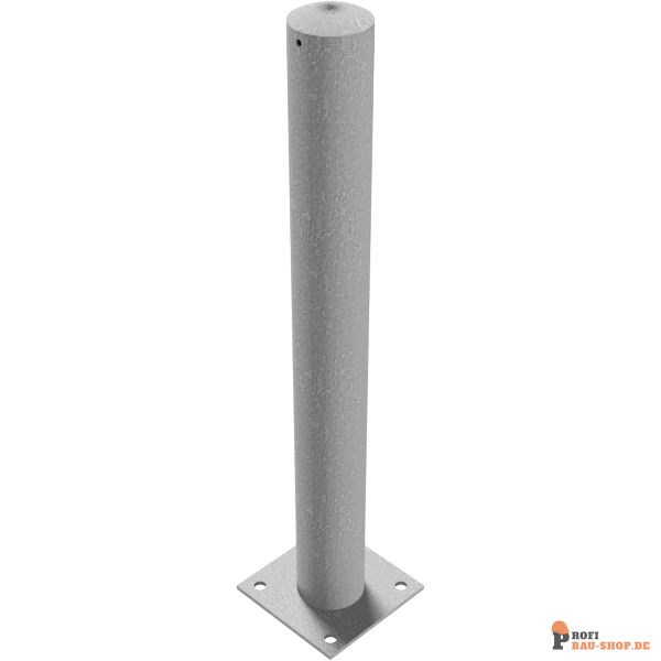 schake/Schake_491P_3D3